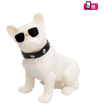 SAL BT DOG