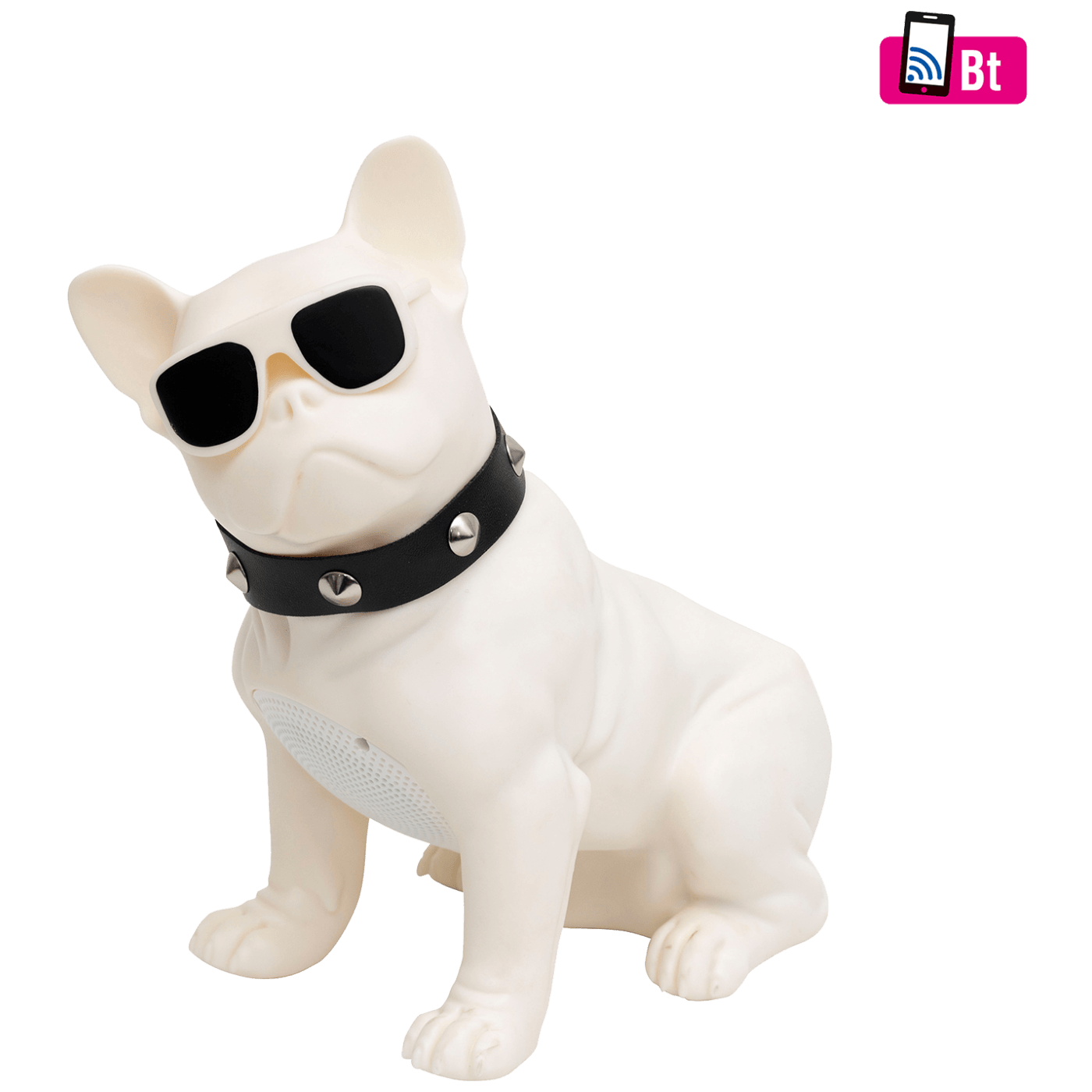19578_16862558579u1icagsmy SAL BT DOG - Image 1
