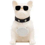 SAL BT DOG - Image 2