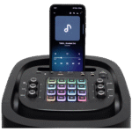 SAL Zvučnik bežični, Bluetooth , FM radio , KARAOKE, 80W - PAR2100BT - Image 4