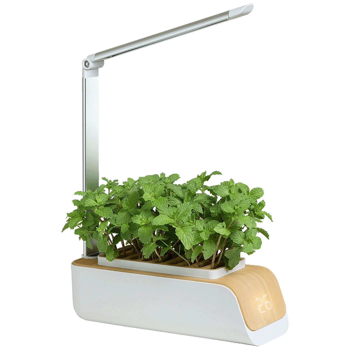 63264_1752845997tbprp0jjs2 NN-Su Inteligentna lampa za rast biljaka, saksija - Vegetable Plant Growth Lamp - Image 1