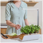 NN-Su Inteligentna lampa za rast biljaka, saksija - Vegetable Plant Growth Lamp - Image 2